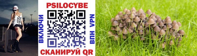 Псилоцибиновые грибы MAGIC MUSHROOMS  Губкинский 